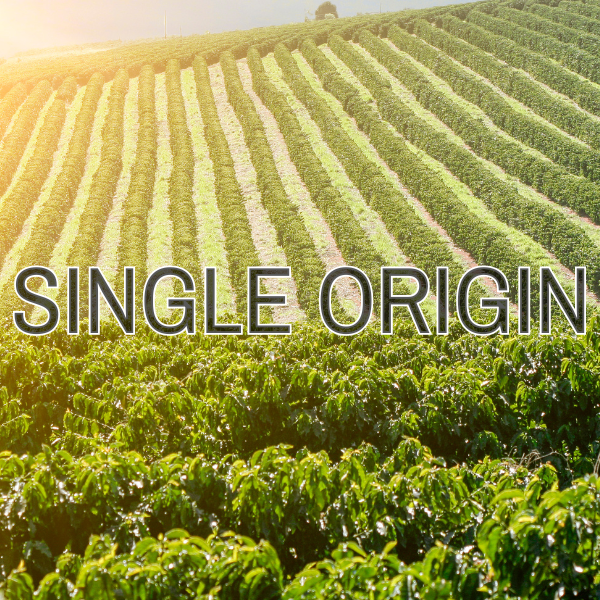 Shop Single Origin